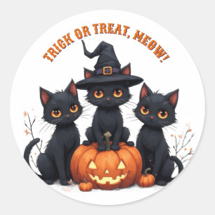 Kawaii Zwarte Katten In Pompoenveld Halloween 🎃 Ronde Sticker