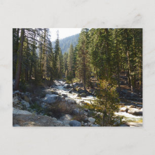 Kaweah rivier in Sequoia National Park Briefkaart
