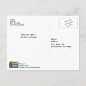 Kayak Flottant Sur Le Lac Table Rock Carte Postale (Dos)