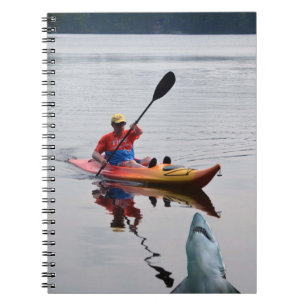 Kayak, pataugeoire, requin, carnet de pays de chal