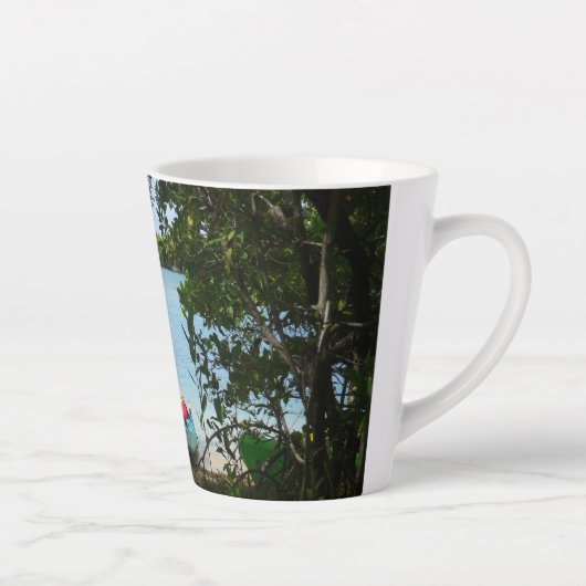 Kayaking in St. Thomas US Maagdeneilanden Latte Mok (Rechts)