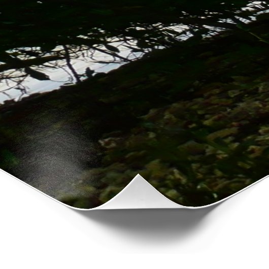 Kayaking in St. Thomas US Maagdeneilanden Perfect Poster (Hoek)