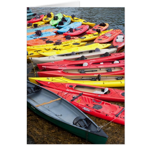 Kayaks colorés (Devant)