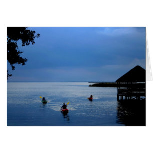 Kayaks sur le son