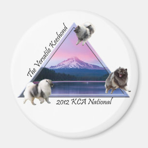 KCA National Magnet 2012 Magneet
