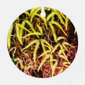 Kea bird Ornament (Achterkant)