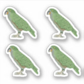 Kea New Zealand Bird Sticker (Voorkant)