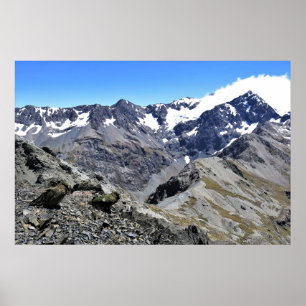 Kea Pair op Avalanche Peak Poster
