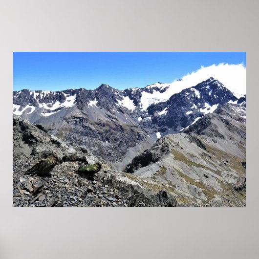 Kea Pair op Avalanche Peak Poster (Voorkant)