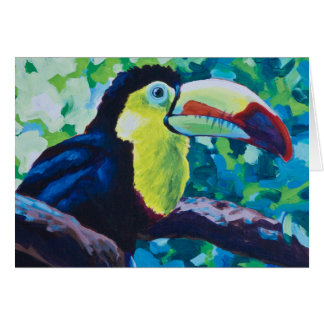 Keel-Billing Toucan