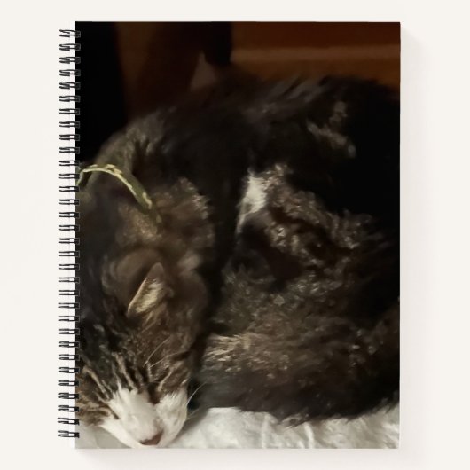 Keeno Carnet spiral circulaire parfait (Devant)