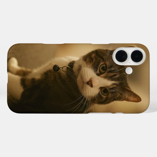 Keeno Golden Gaze iPhone 16 Coque (Verso (horizontal))