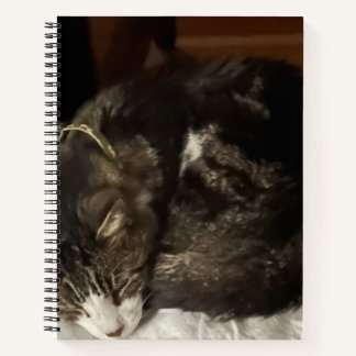 Keeno Perfect Circle Spiral Notitieboek