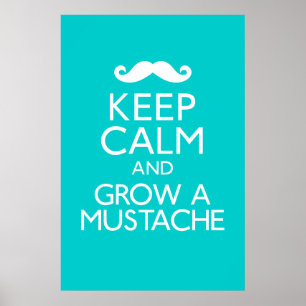 Keep Calm and Grow a Mustache Poster