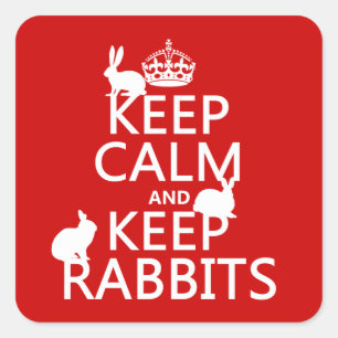 Keep Calm and Keep Rabbits - alle kleuren Vierkante Sticker