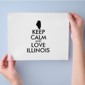 KEEP CALM EN LIVE ILLINOIS FLYER (Hand)