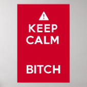 Keep Calm Parody Funny Poster (Voorkant)