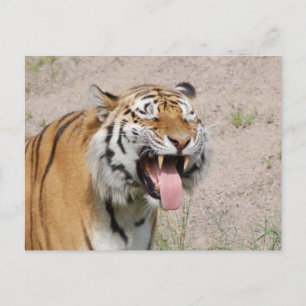 Keep Smiling Postcard Briefkaart