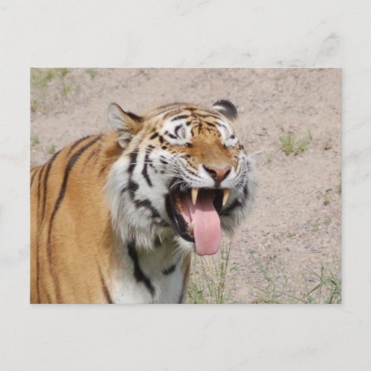 Keep Smiling Postcard Briefkaart (Voorkant)
