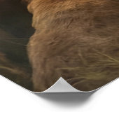 Keeper of the Dogs Poster (Hoek)