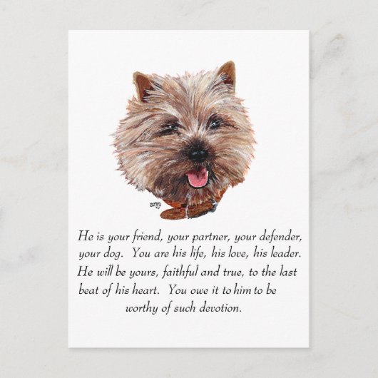 Keepomwille Cairn Terrier - Mannelijk Briefkaart (Voorkant)