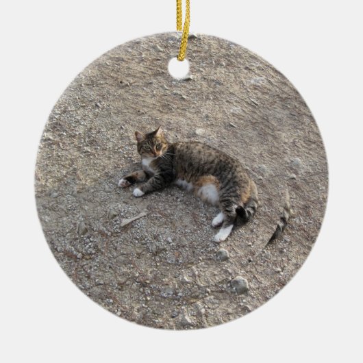 Keepomwille Ornament: Tabby Kat met witte inhoud Keramisch Ornament (Voorkant)