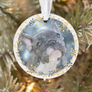 Keepsake Baby's or Pet's First Chanoeka Foto Ornament