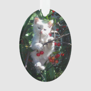 Keepsake Familie Kat Foto Ornament