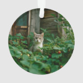 Keepsake Family Cat 2 Sided Photo (dos)