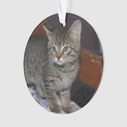 Keepsake Family Cat 2 Sided Photo (devant)