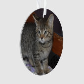 Keepsake Family Cat 2 Sided Photo Ornament (voorkant)