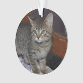Keepsake Family Cat 2 Sided Photo Ornament (voorkant)