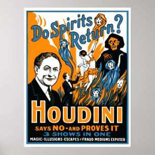 Keer je spiritten terug? poster