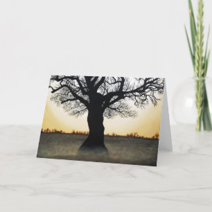 Keerpunt: Winterzonnewende Kaart