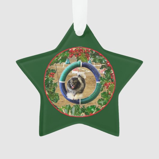 Kees Agility Xmas ornament 2 (voorkant)