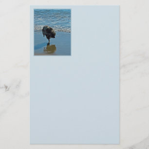 Keesdoorn Ballet-foto - Cute Original Dog Art Briefpapier