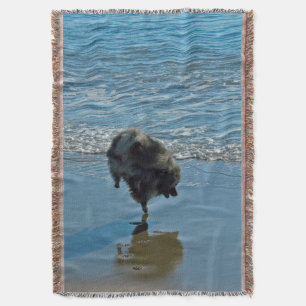 Keesdoorn Ballet-foto - Cute Original Dog Art Deken