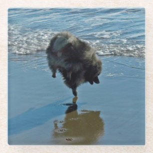 Keesdoorn Ballet-foto - Cute Original Dog Art Glazen Onderzetter