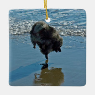 Keesdoorn Ballet-foto - Cute Original Dog Art Keramisch Ornament