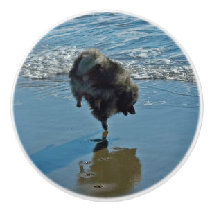 Keesdoorn Ballet-foto - Cute Original Dog Art Keramische Knop