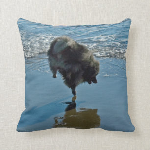 Keesdoorn Ballet-foto - Cute Original Dog Art Kussen
