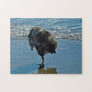 Keesdoorn Ballet-foto - Cute Original Dog Art Legpuzzel