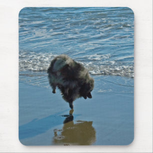 Keesdoorn Ballet-foto - Cute Original Dog Art Muismat