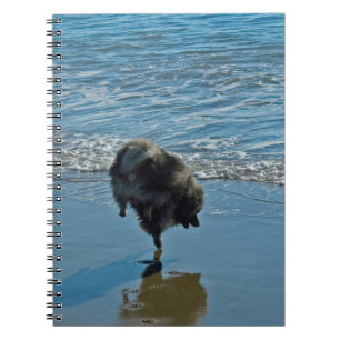 Keesdoorn Ballet-foto - Cute Original Dog Art Notitieboek