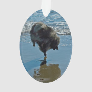 Keesdoorn Ballet-foto - Cute Original Dog Art Ornament