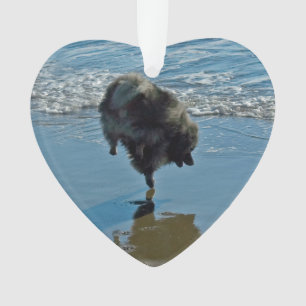 Keesdoorn Ballet-foto - Cute Original Dog Art Ornament