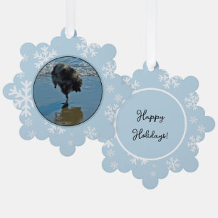 Keesdoorn Ballet-foto - Cute Original Dog Art Ornament Kaart