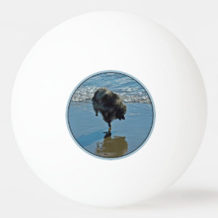 Keesdoorn Ballet-foto - Cute Original Dog Art Pingpongballen
