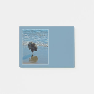 Keesdoorn Ballet-foto - Cute Original Dog Art Post-it® Notes