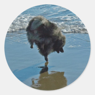 Keesdoorn Ballet-foto - Cute Original Dog Art Ronde Sticker